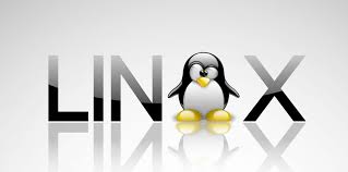 LINUX training in chennai